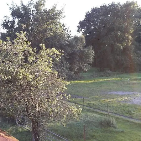 Ξενοδοχείο Gulfhof De Riese- Hofmann Og
